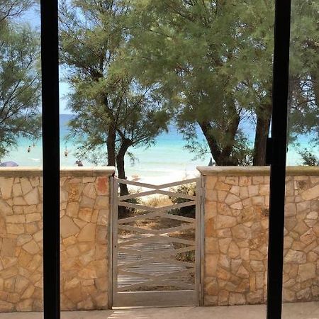 Villa Zack San Pietro in Bevagna Dış mekan fotoğraf