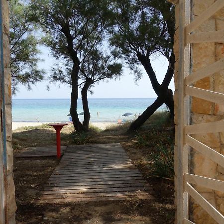 Villa Zack San Pietro in Bevagna Dış mekan fotoğraf